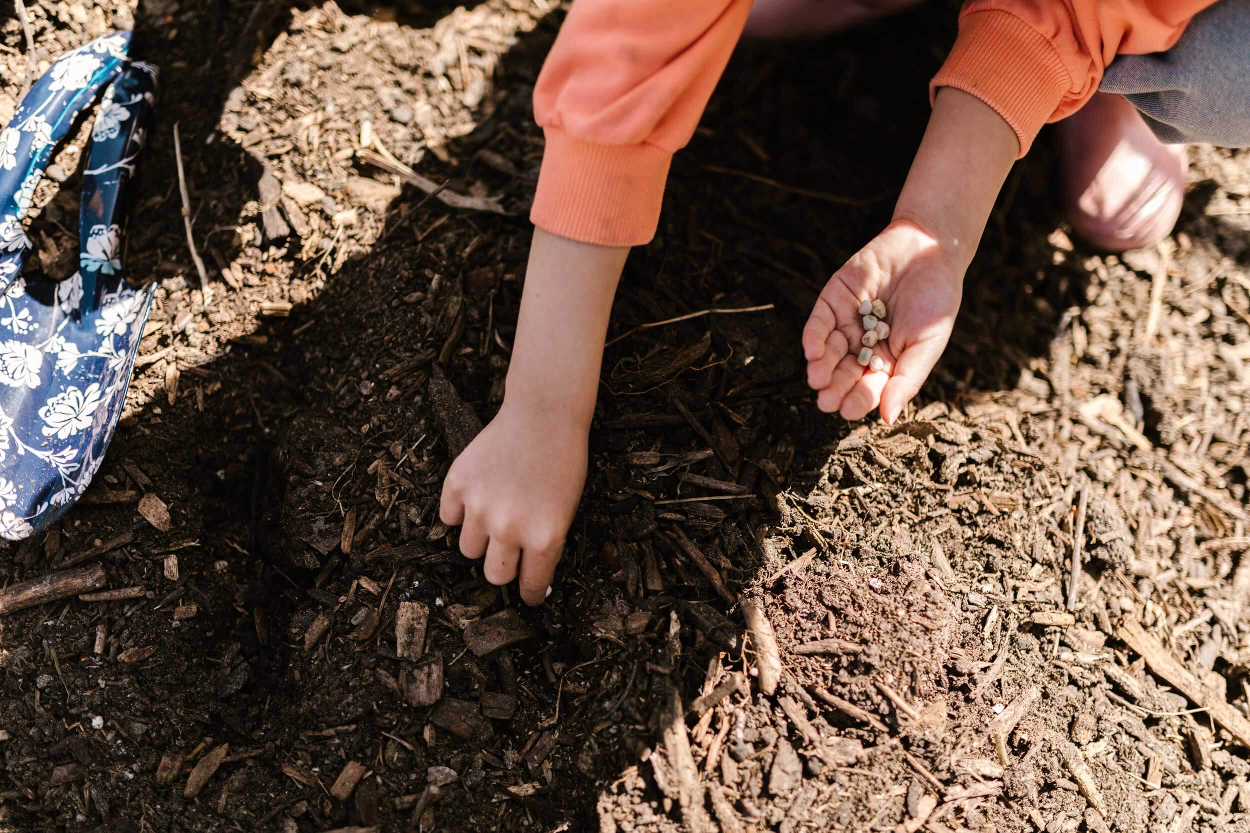 Child placing seeds in the dirt