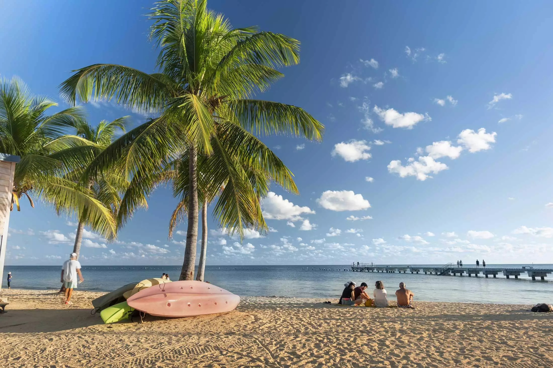 People relaxing on a beach under a palm tree