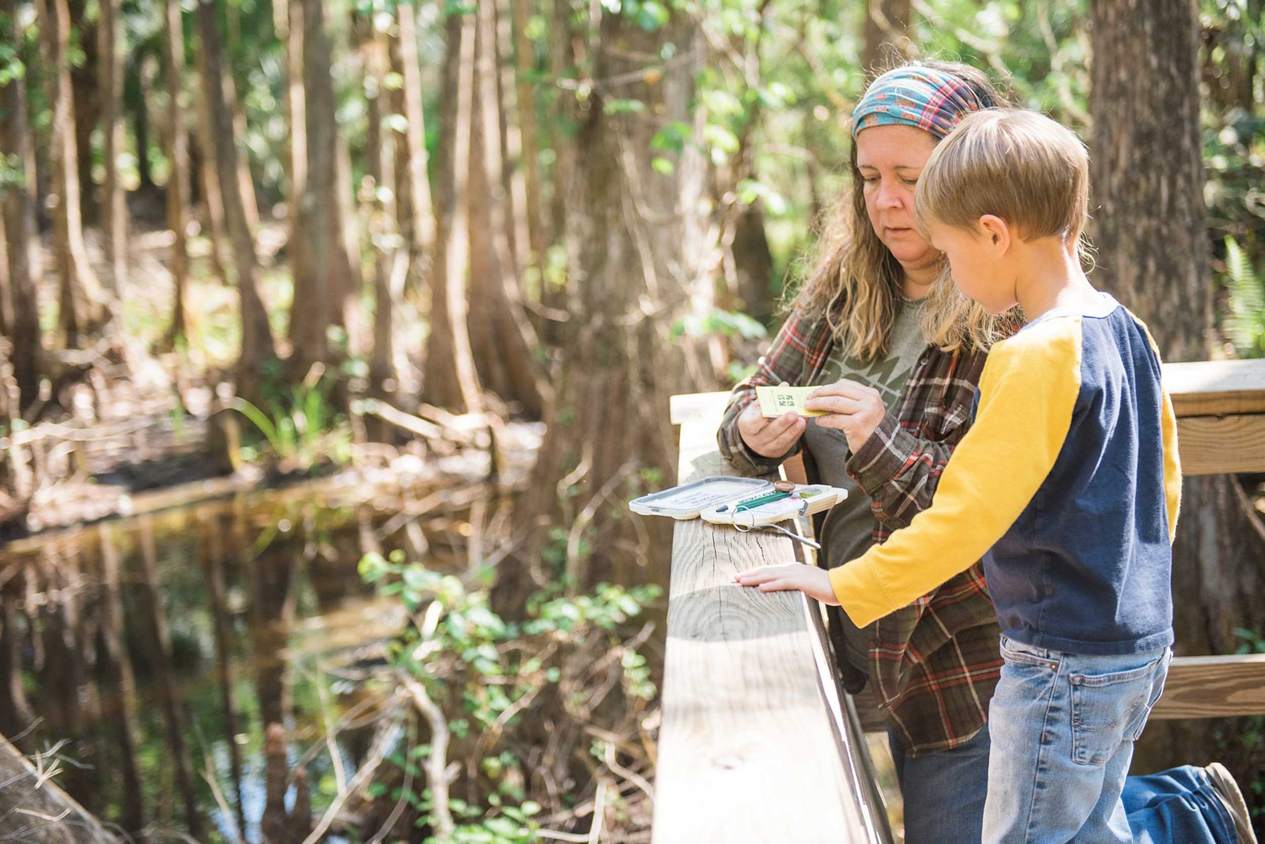 Woman and child survey nature in Highlands Hammock State Park