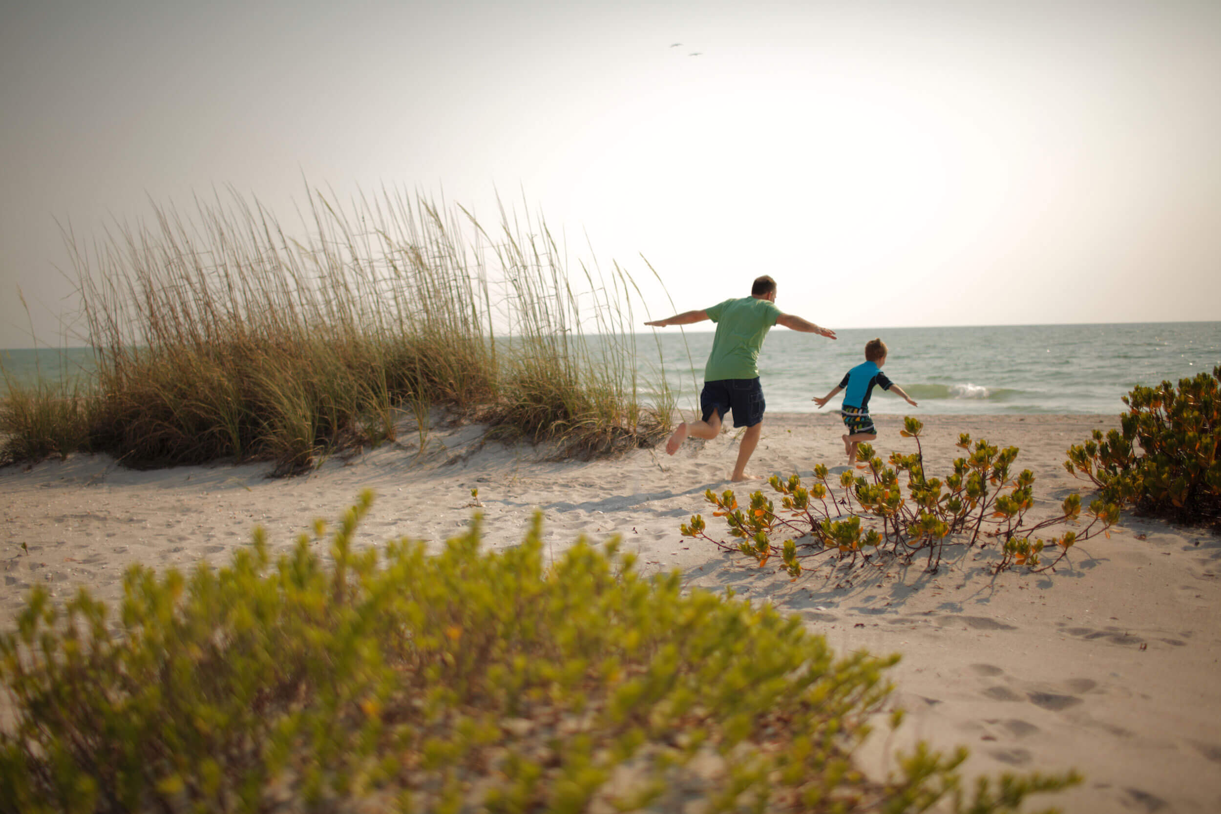 Father chases son on the beach at sunset.