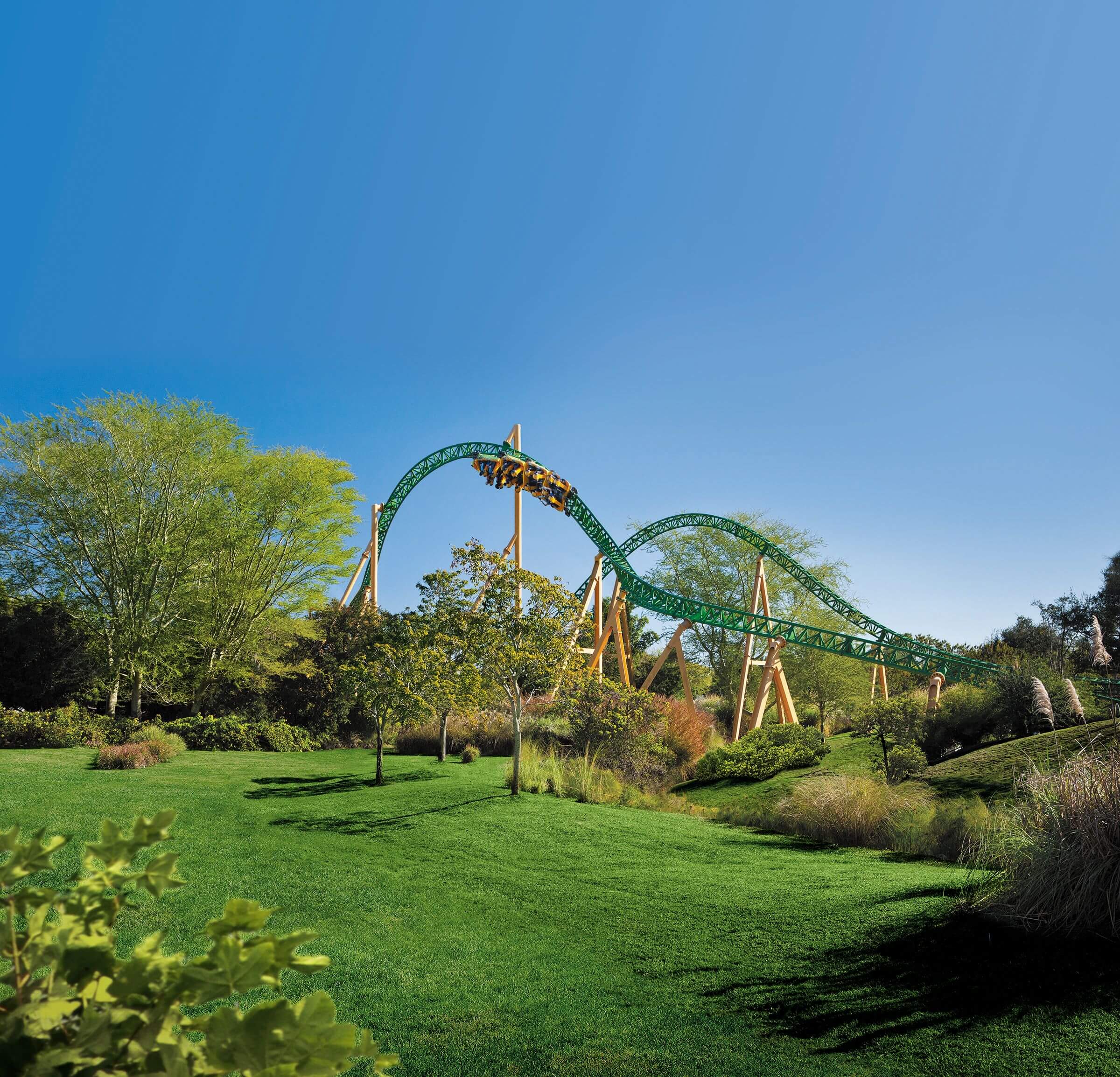 A large green field with a green roller coaster in the background.